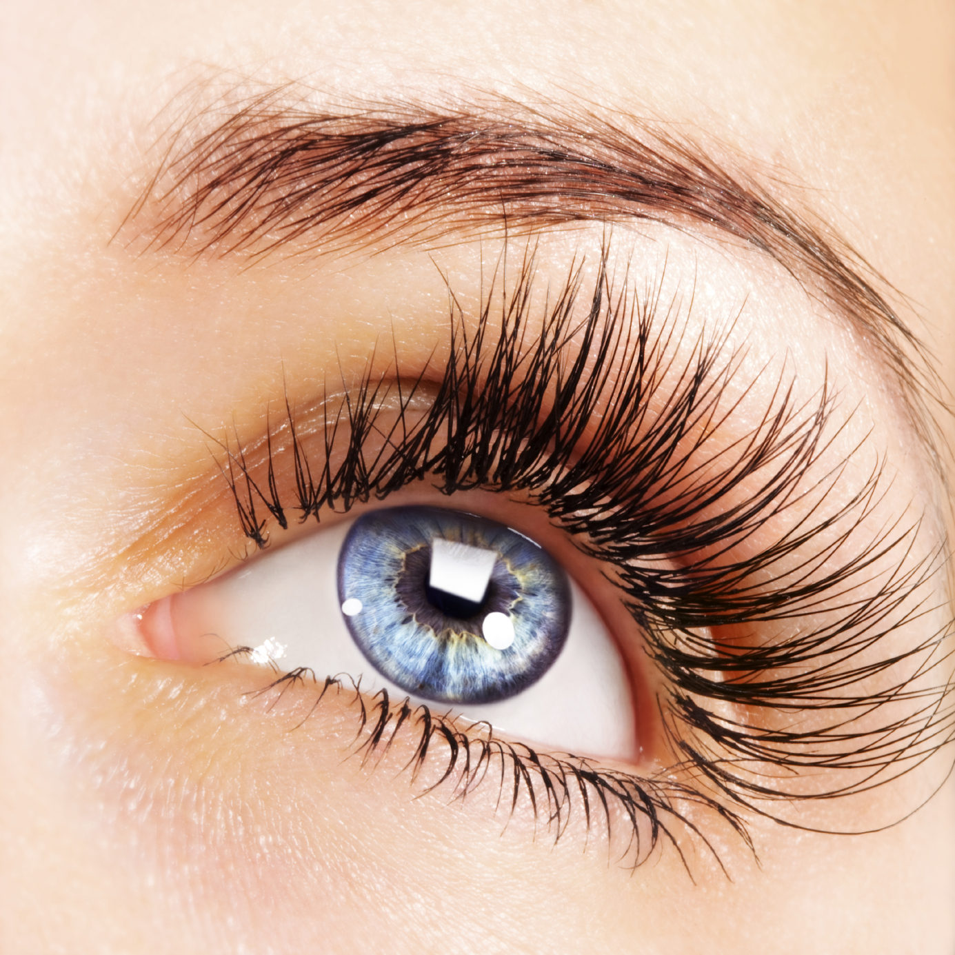 Woman blue eye with extremely long eyelashes